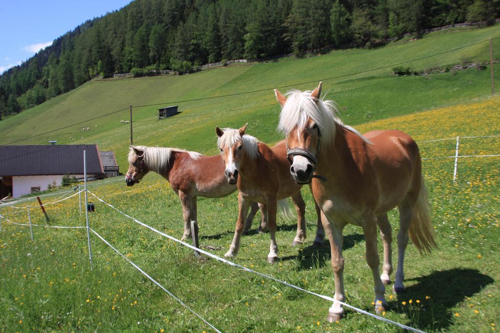 Villa Omesbergerhof Neustift im Stubaital Exterior foto